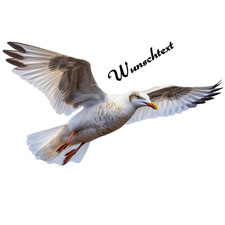Möwe Braun/Weiß Maritim Autoaufkleber/ Wandtattoo-Fliegend-Personalisierbar-Top