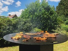 Feuerplatte Plancha Grillplatte 5  6  8 mm  80  90  100 cm Grill GN-Behälter 1/9