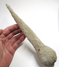 +++ Zapfensand -- Ochsenhausen, Biberach, Baden-Württemberg +++ Sandcalcit