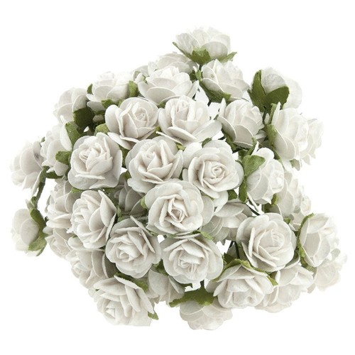 Rosen geöffnete 50 stk - 50,