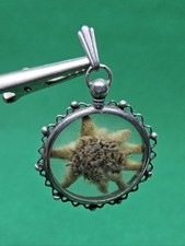 Trachten-Edelweiß Anhänger