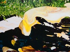 Gerhard Richter - übermalte