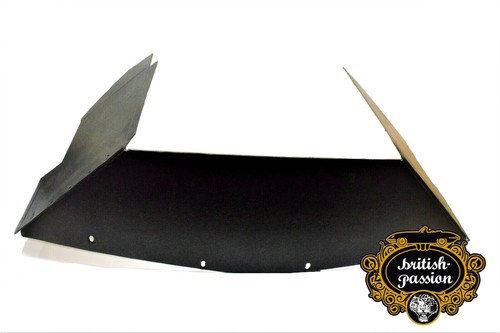 Triumph tr6 kühlerkarton - tr6,