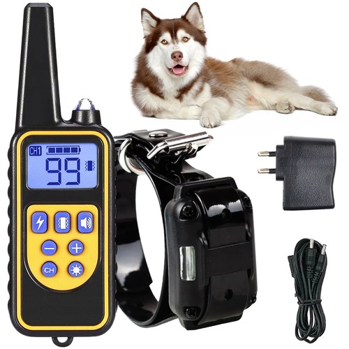800m hund ausbildung - 800m,