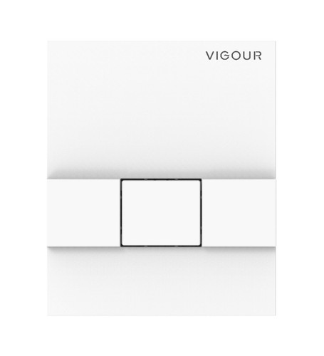 VIGOUR