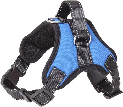 Jrpets hundegeschirr leine - hundegeschirr,