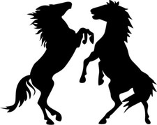 Aufkleber Pferd