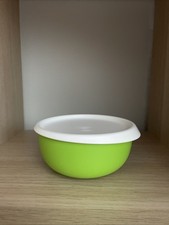 Tupperware Ergonomica