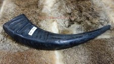 Trinkhorn wasserbüffel - trinkhorn,,