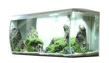 Fluval Flex 123 Liter 82x39x40cm - Farbe: Weiß