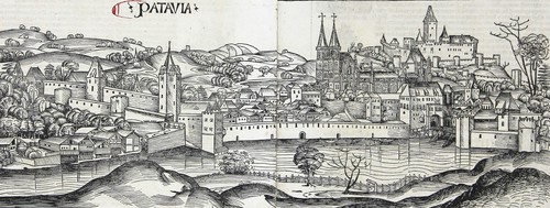 Passau patavia hartmann - -,