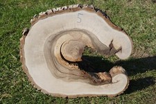 Baumscheibe Holzscheibe