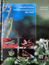 MANTODEA Gottesanbeterinnen