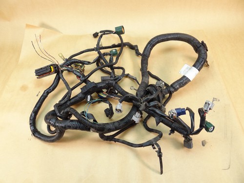 Motor kabelbaum nissan almera - kabelbaum,