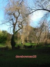 FOTO COY POND GARDENS: KLEINE