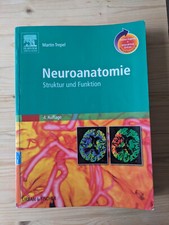 Neuroanatomie - Struktur und
