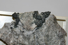 !!! Allargentum / Dyskrasit 