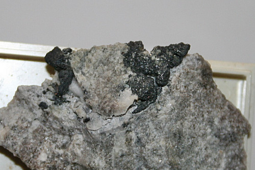 Allargentum dyskrasit - allargentum,