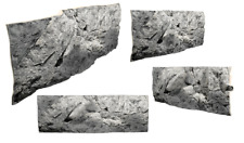 Back to Nature Rückwand River