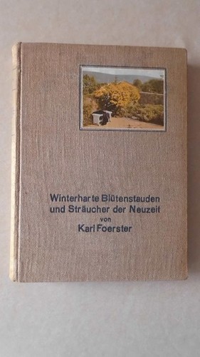 Winterharte blütenstauden und - blütenstauden,