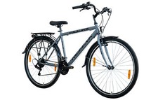 Herrenfahrrad 28" Zoll Cityfahrrad Jungenfahrrad Citybike 21 Gang NEU