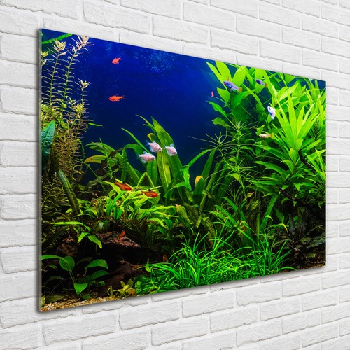 Wandbild aus plexiglas - wandbild, plexiglas®