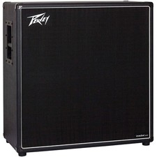 Box E-Gitarre Peavey Invective