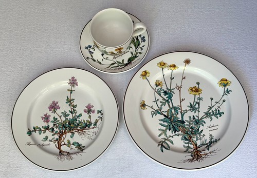 Villeroy boch botanica - boch,