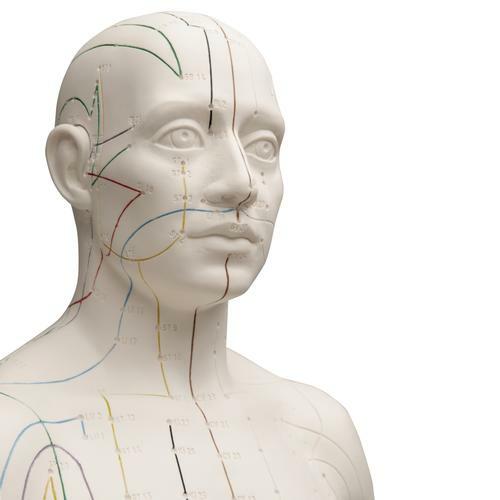 Akupunktur figur männlich - männlich, 71