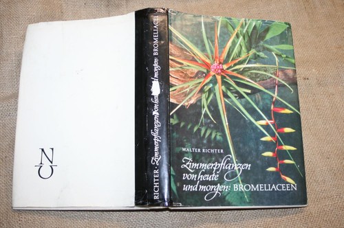 Fachbuch bromelien tillandsien - bromelien,