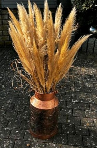 Milchkanne kupfer mit gratis - kupfer,