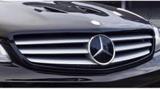Mercedes Front Grille Star