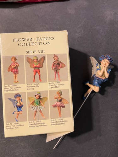 Flower fairies collection - flower,