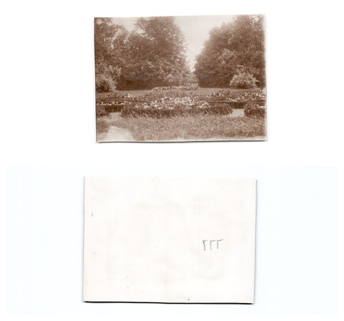 Westerplatte - (b77668a555),