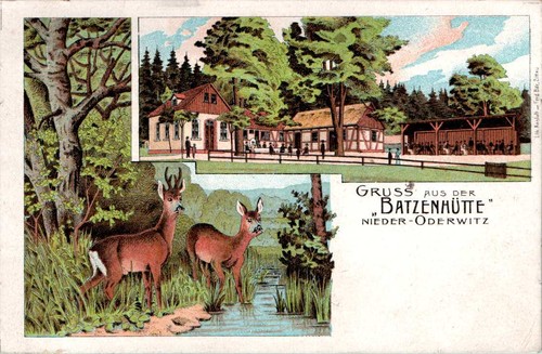 Litho gruss aus nieder - ,