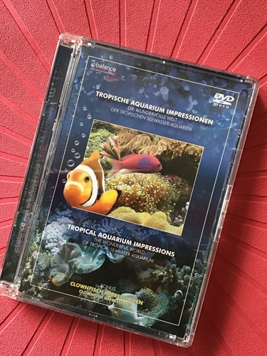 Tropische aquarium - tropische,