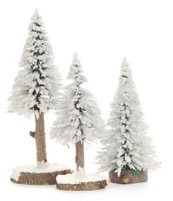 Nadelbäume Fichte 3er Set