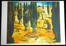 Salvador dali lithographie - salvador,