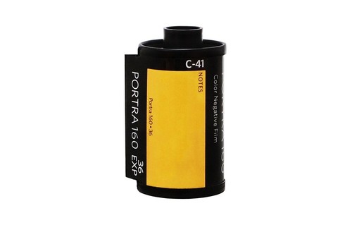 Kodak portra 160 color print - color,