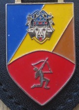 Brustanhänger Verbandsabzeichen Flugabwehrregiment 80 Basepohl (R) Kopf rosa