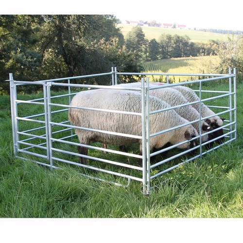 Steckfixhorde schafgatter - 4x,