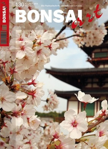 Bonsai art - 10,