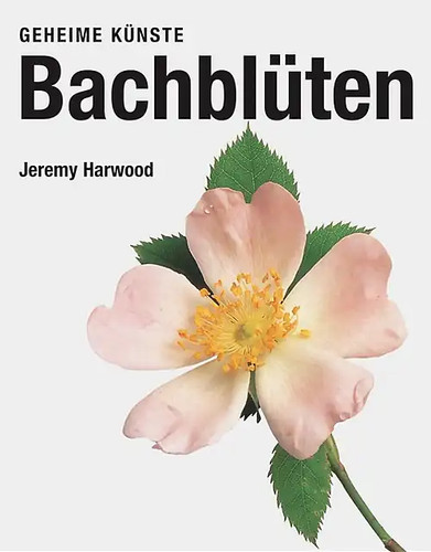 Bachblüten zustand sehr gut - bachblüten,