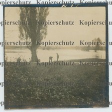 7257a❚ ORIGINAL Foto von