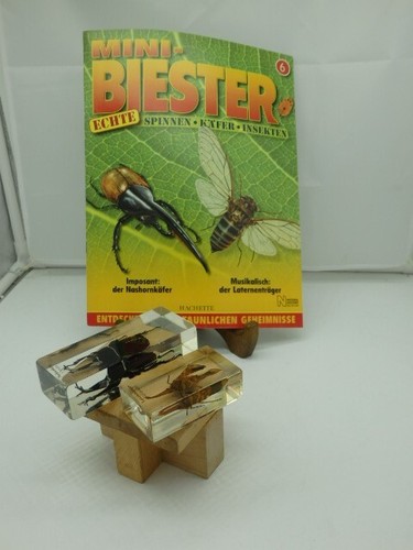 Mini biester heft 6 - biester,