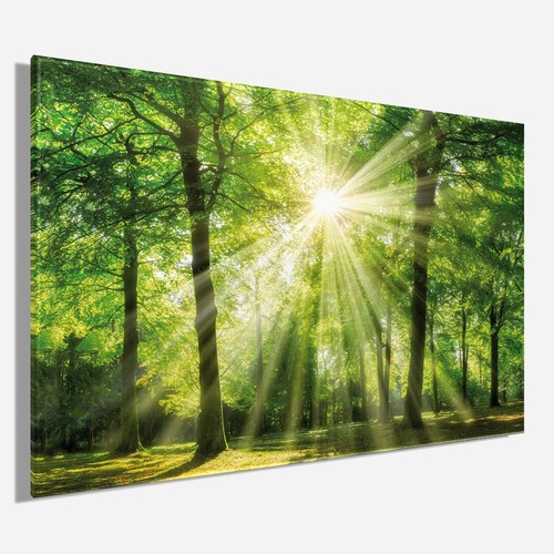 Wandbild wald 78x118 - wandbild, ca.