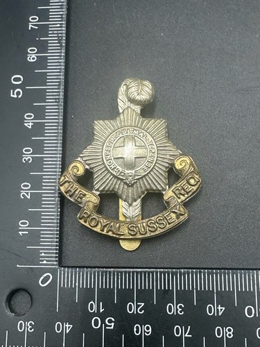 Royal sussex regiment - sussex,