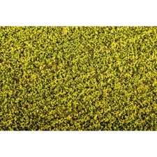 Rapsfeld fertige matte - -,