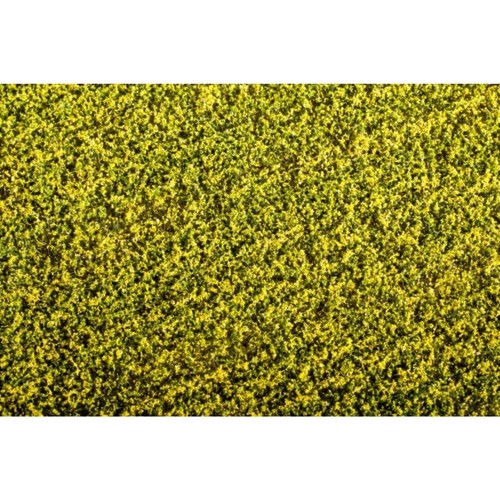 Rapsfeld fertige matte - rapsfeld,
