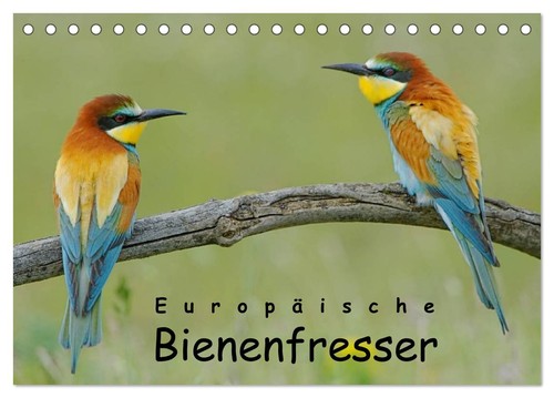 Europäische bienenfresser - europäische,